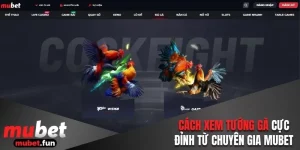 Cách xem tướng gà